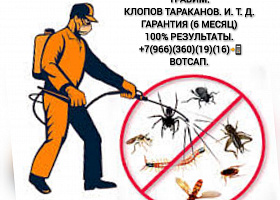 Дез-центр Москва дезинфекция уничтожения насекомых работаем 24/7 с выездом области! 